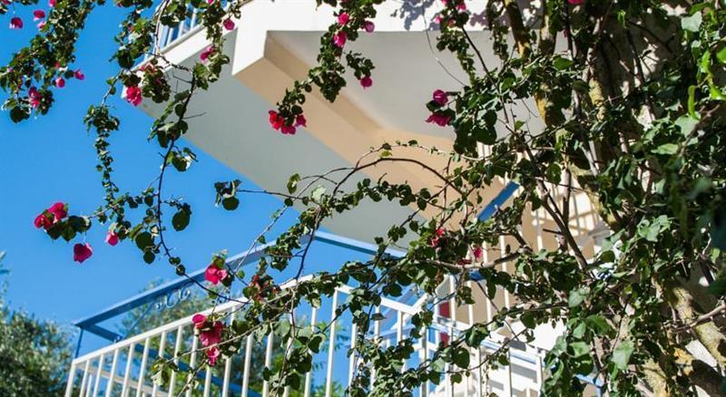 Plessas Studios Tsilivi  Dış mekan fotoğraf